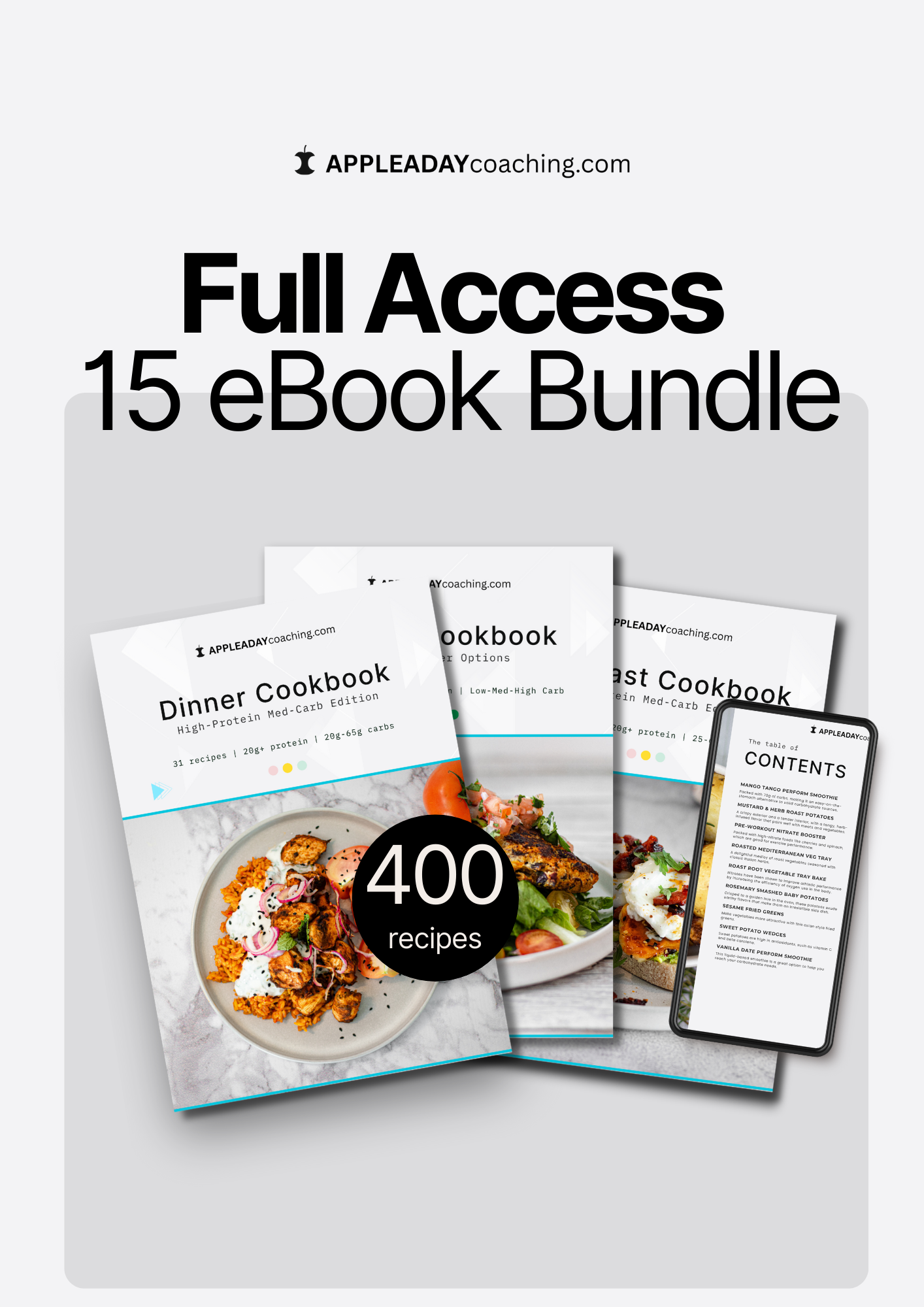 Full Recipe eBook Bundle (400 Recipes)